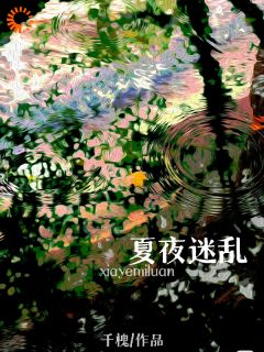 《夏夜迷乱》小说全文在线阅读 《夏夜迷乱》最新章节目录