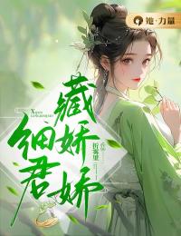 细君藏娇娇小说全文免费试读 绛莺林鸿涛全文精彩章节章节