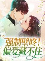 《强制壁咚！偏爱藏不住》小说全文在线阅读 司柠宋铭小说阅读