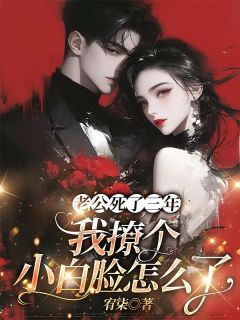 老公死了三年，我撩个小白脸怎么了苏墨菀商鹤野 老公死了三年，我撩个小白脸怎么了小说免费阅读