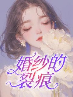 《婚纱的裂痕》小说在线阅读 《婚纱的裂痕》最新章节目录