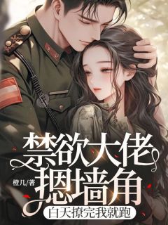 《禁欲大佬摁墙角，白天撩完我就跑》全文免费章节在线试读 叶时韵蒋宵墨小说
