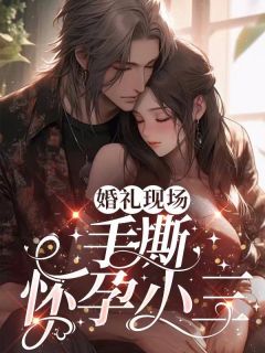 冯思南陈佳宇小说 《婚礼现场，手撕怀孕小三》小说全文免费试读