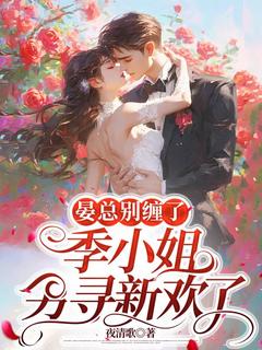 晏总别缠了，季小姐另寻新欢了主角季向禾晏北川全文精彩内容在线试读