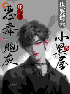 《坏了！恶毒炮灰也要被关小黑屋吗》小说章节列表免费试读 宋少言顾青之小说全文