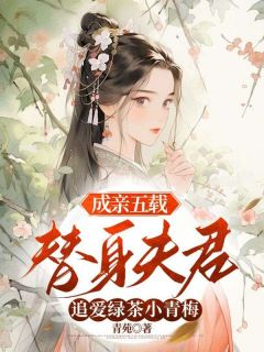 成亲五载，替身夫君追爱绿茶小青梅姚木槿江景南小说在线阅读全文章节目录完整版