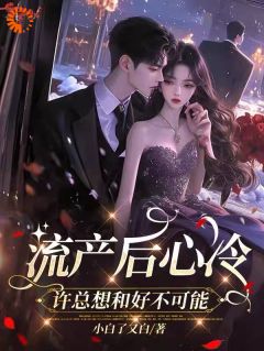 流产后心冷，许总想和好不可能小说全文在线阅读 叶沐笒许复昂全文完整版章节