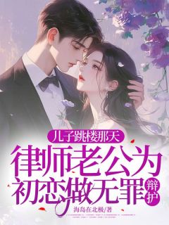 儿子跳楼那天，律师老公为初恋做无罪辩护by海岛在北极 姜念弛南小说阅读