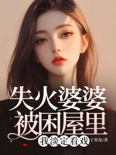 热文《失火婆婆被困屋里，我淡定看戏》肖子妍陈晓宇全文无弹窗阅读