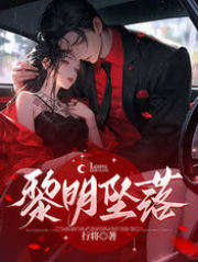 《黎明坠落》小说全文免费阅读 《黎明坠落》最新章节目录