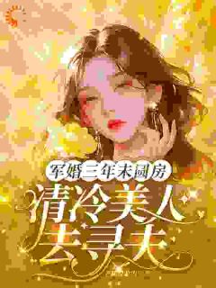 军婚三年未圆房，清冷美人去寻夫完整全文阅读 沈菱陆越小说结局无删节