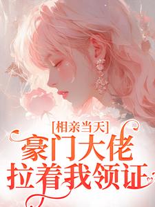 相亲当天，豪门大佬拉着我领证明箬商迟 相亲当天，豪门大佬拉着我领证在线阅读