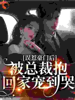 误惹豪门后，被总裁抱回家宠到哭by林晚意顾晏舟精彩章节 林晚意顾晏舟小说全集免费试读