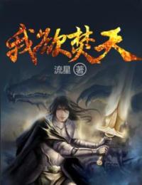 我欲焚天全文免费阅读 古风秦灵小说《我欲焚天》章节精彩章节