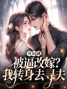 《开局就被逼改嫁？我转身去寻夫》沈菱陆越章节在线阅读