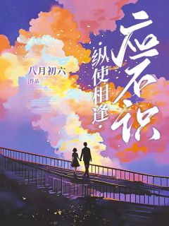 《纵使相逢应不识》小说完结版精彩阅读 黎初落贺景深小说全文