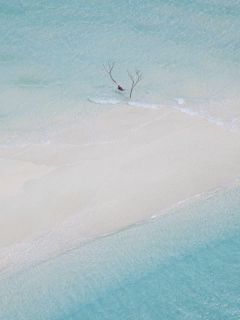 《系统说我弄错了舔狗对象》小说全文精彩章节在线阅读（许妙灵江怀风）