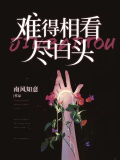 《难得相看尽白头》陈冰语沈时年章节精彩试读