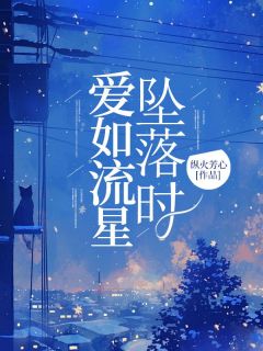 《爱如流星坠落时》曲舒然陆承泽完结版在线试读