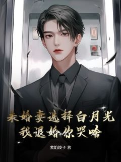 江澈陆瑶by素馅饺子 未婚妻选择白月光，我退婚你哭啥？全文免费阅读
