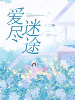 爱尽迷途免费阅读 宋黎陆泽渊在线阅读