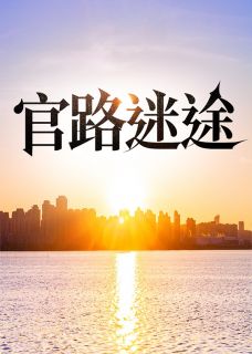 官路迷途免费阅读(许国华孙思颖全本资源) 无广告