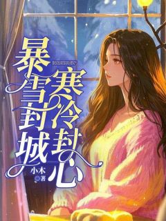 《暴雪封城，寒冷封心》完结版在线试读 《暴雪封城，寒冷封心》最新章节目录