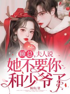 《顾总，夫人说她不要你和少爷了》全文精彩章节在线阅读（许念顾云琛）