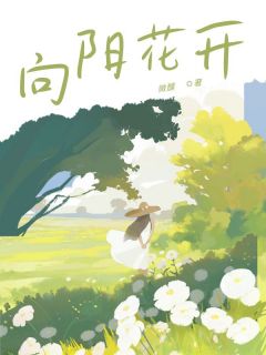 向阳花开冯菲季予唐婉阅读_向阳花开文本在线阅读