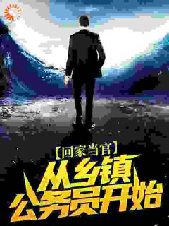 苏凉意陌千宸小说 回家当官：从乡镇公务员开始章节在线阅读