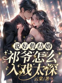 《说好假结婚，祁爷怎么入戏太深》小说免费阅读 《说好假结婚，祁爷怎么入戏太深》最新章节列表