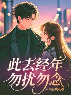 《此去经年勿扰勿念》大结局在线阅读 江诗可沈清淮是什么小说