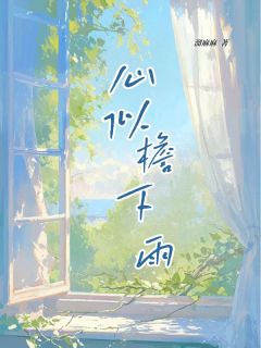 《心似檐下雨》小说完结版在线阅读 沈凌雪夏微雨沈念辰小说阅读