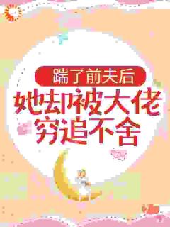 离婚后，夫人她走上人生巅峰舒漾傅臣玺顾以宁小说全本在线阅读