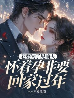 《老婆为了见前夫，怀着孕非要回家过年》完结版精彩阅读 《老婆为了见前夫，怀着孕非要回家过年》最新章节目录