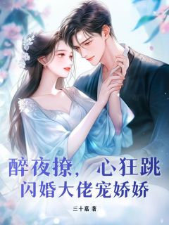 《醉夜撩，心狂跳，闪婚大佬宠娇娇》姜宁陆骋章节目录精彩阅读