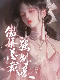 傲娇总裁强制爱免费阅读 秦兴苏云芝的小说免费试读