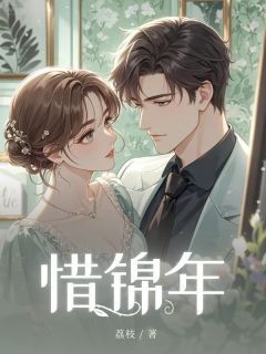 《惜锦年》小说全文免费试读 《惜锦年》最新章节列表