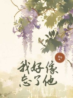 《我好像忘了他》小说章节在线阅读 梁牧野秦思晴叶祈安小说全文