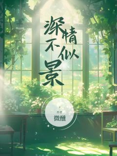 《深情不似景》大结局在线阅读 《深情不似景》最新章节目录