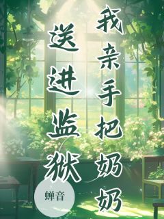 我亲手把奶奶送进监狱免费试读 沈黎奶奶小说章节目录