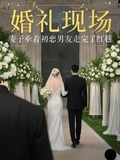 婚礼现场，妻子牵着初恋男友走完了红毯精彩章节小说免费试读地址 主角林芊雪姜池江阔