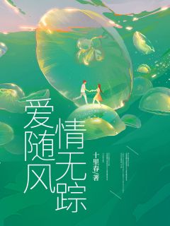 宋佳怡沈安屿by十里春 爱随风，情无踪小说全本