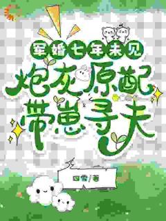 军婚七年未见，炮灰原配带崽寻夫安书陆铮小说全文免费阅读