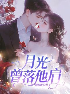 月光曾落他肩宋晚凝纪延澈by枕风眠完整在线阅读