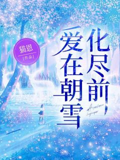 最新《爱在朝雪化尽前》陆昭雪沈宗远小说免费试读全文章节