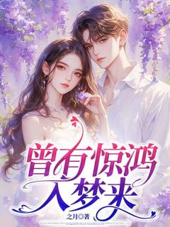 《曾有惊鸿入梦来》小说精彩阅读 《曾有惊鸿入梦来》最新章节目录
