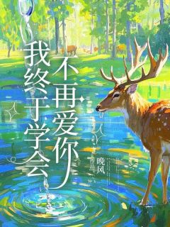 《我终于学会不再爱你》小说精彩章节免费试读（主角孟婉顾城）