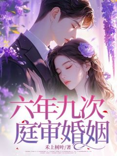 《六年九次，庭审婚姻》小说章节列表在线试读 林青恒沈沫小说阅读