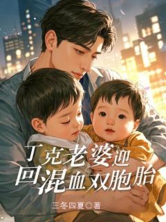 丁克老婆迎回混血双胞胎小说全文在线阅读 姜慕瑶陆子明全文完整版章节